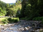 IMG_1168.jpg