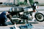 81-BMW-R65.jpg