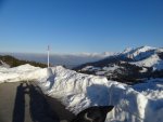 DSC00031.jpg