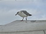 IMG_8139.jpg