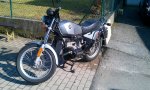 IMAG0266.jpg