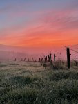 76E83FD4-C58E-4672-8669-36669280D977.jpeg