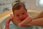 DSC_0028.jpg