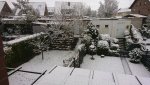 DSC_1221.JPG