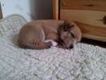 20120512_112657.jpg
