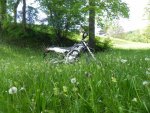 bild 004.jpg