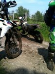 Flandern 2012 2.jpg