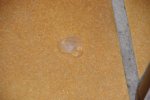 IMGP0342.jpg
