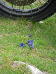 DSCN1394.jpg