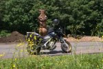 DSC04368 -2.jpg