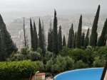 IMG_8993.jpeg