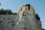 IMG_0982.JPG