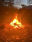 IMG_1181.jpeg