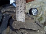 SDC11014.jpg