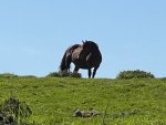 IMG_0235.jpg