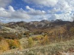 IMG_3735.jpeg
