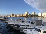 IMG_8739.jpeg