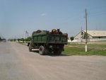 2012-07-08_Pferdetransport-KZ.jpg