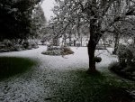 20121027_173719.jpg