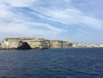 IMG_2351.jpeg