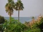 DSCN1063.jpg