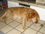 DSC00097.jpg