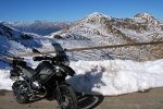 IMG_2716a.jpg