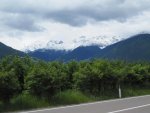 IMG_0004.jpg