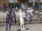 Fahrradständer.jpg