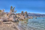 DSC_3972.jpg