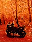 IMG_2019-11-2_17-2-45_912.jpg