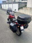 IMG_6455.jpeg