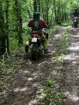 IMG_5472.jpeg