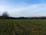 DSCN0320.jpg