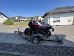 IMG_3763.jpeg