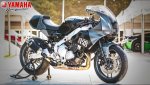 XSR 900 DB 40-.jpg