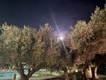 IMG_4921.jpeg