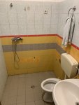 IMG_1884.jpeg