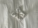 IMG_4940.jpeg