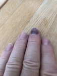 IMG_7698.jpeg
