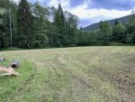 IMG_3736.jpg