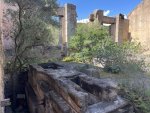 IMG_9026.jpeg