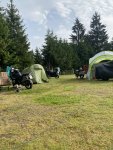 IMG_2784.jpeg