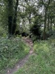 IMG_9746.jpeg