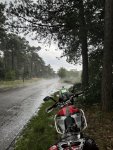 IMG_9751.jpeg