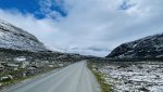 IMG_9818.jpeg