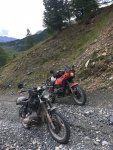 IMG_7234.jpeg