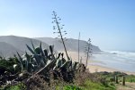 Algarve-15.jpg