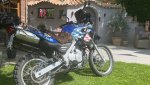 IMG_6729.jpeg