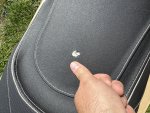 IMG_4954.jpeg